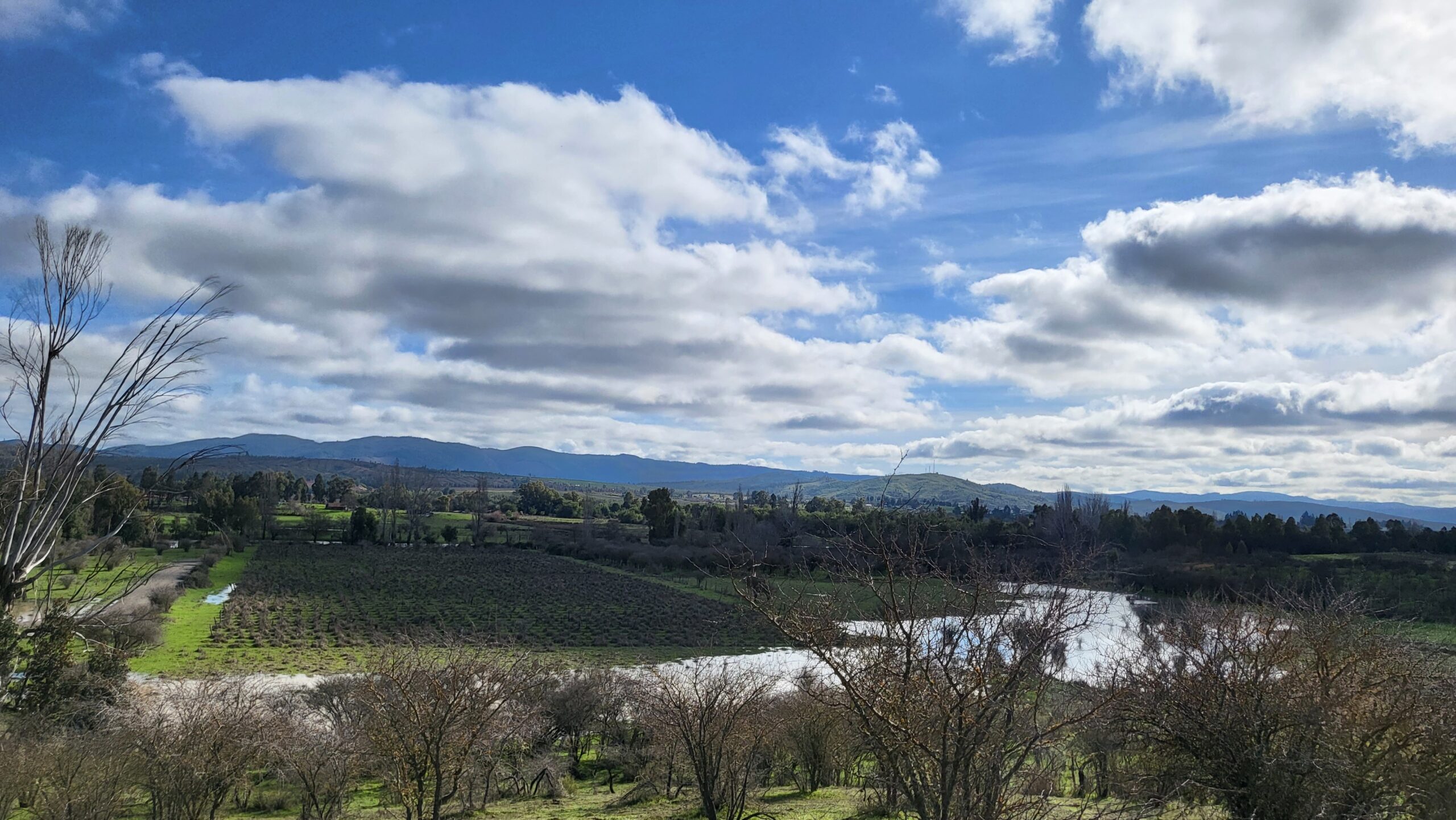 Las Margaritas – Cauquenes