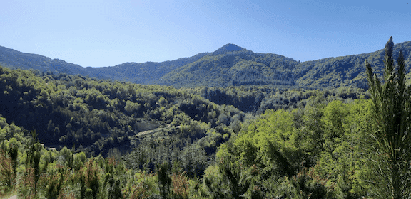 Radal – San Clemente