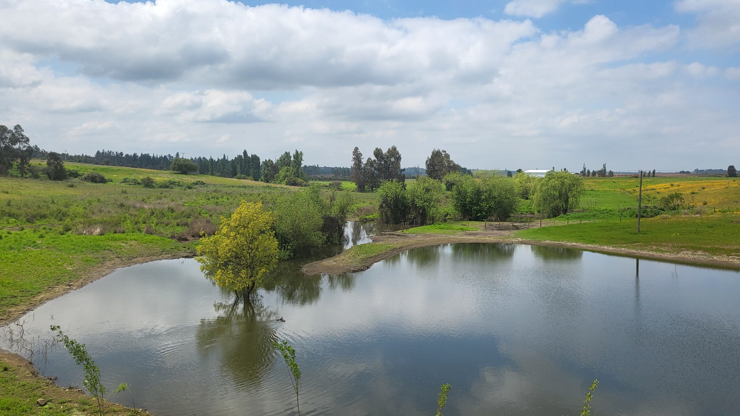 Altos de Rucapequén – Chillán Viejo