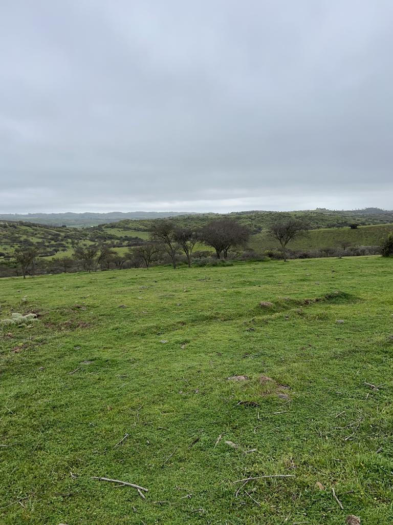 Terreno Litueche – Región de OHiggins