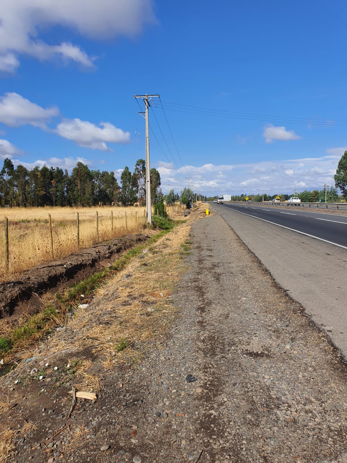 San Carlos, región del Ñuble, km 373 Ruta 5 Sur
